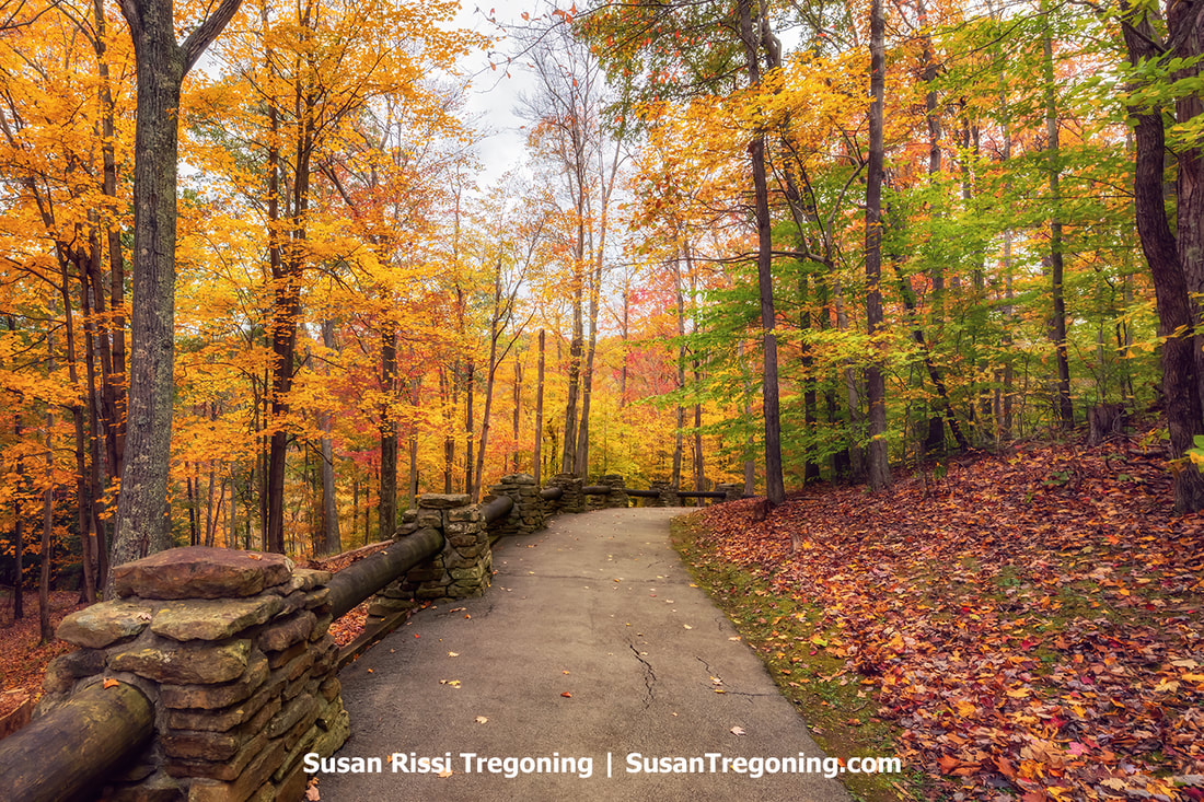 The stunning fall hues during the brief stroll to the Hawks Nest overlook at West Virginia's Hawks Nest State Park.