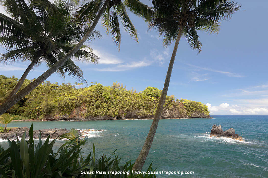 A tropical coastline framed by tall palms and dense green foliage overlooks vibrant blue water, where waves break against a rocky shoreline below a forested cliff and a bright, lightly clouded sky.