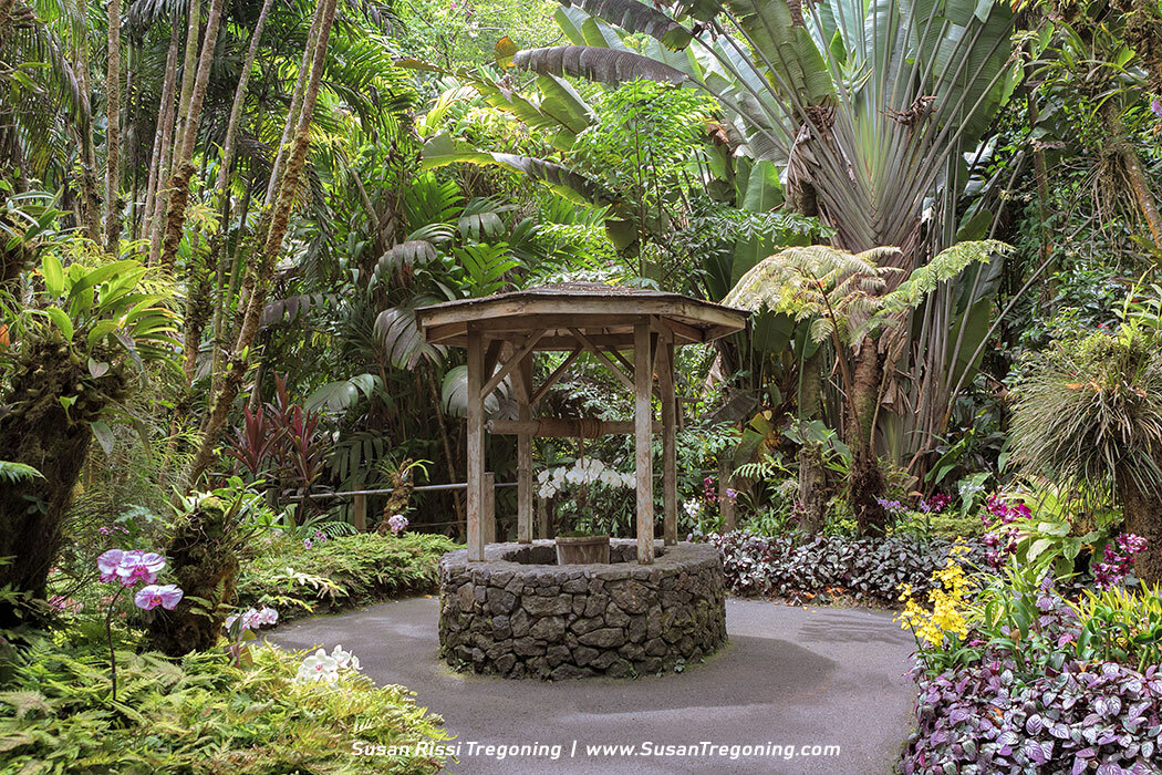 A rustic stone wishing well with a wooden roof stands along a paved garden path, surrounded by tall palms, orchids, and dense tropical foliage in a vibrant, lush garden setting.