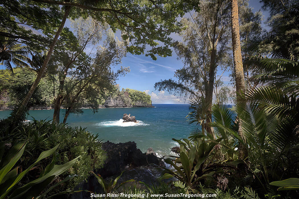A rocky sea stack known as the Lovers of Kahaliʻi rises from the turquoise water at the center of the bay, framed by lush tropical foliage in the foreground and a forested cliffline in the distance beneath a bright blue sky.