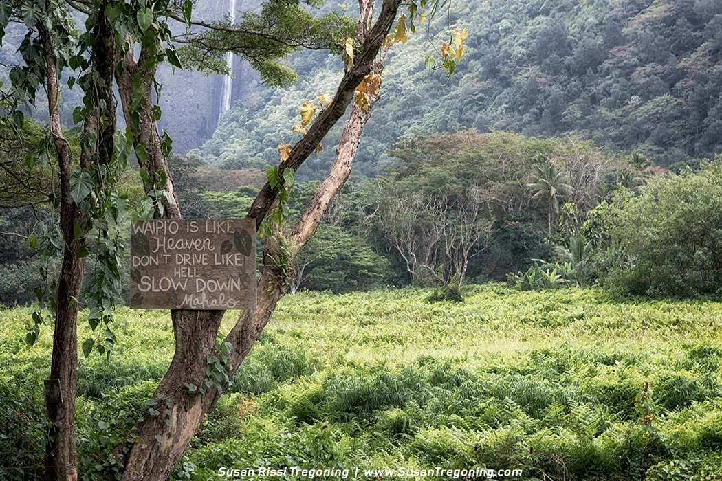Experience Waipio Valley's charm with its iconic sign and dramatic waterfall backdrop. A picture-perfect moment awaits you.