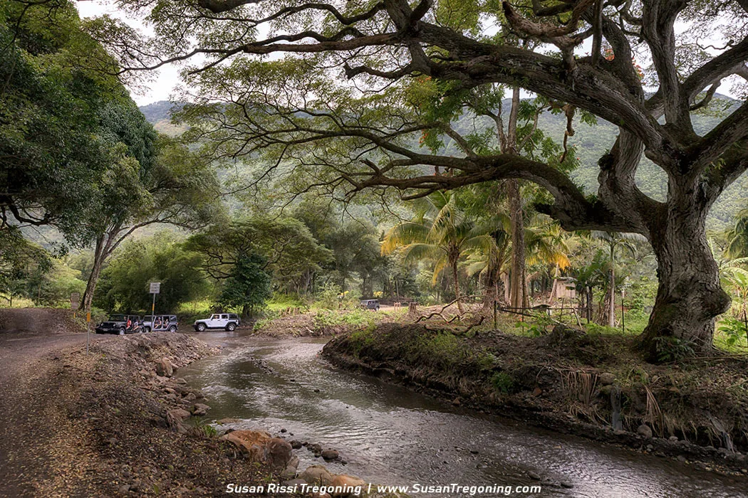 Traffic jams on Main Street in Waipio Valley as everyone navigates the Wailoa Stream crossing. 