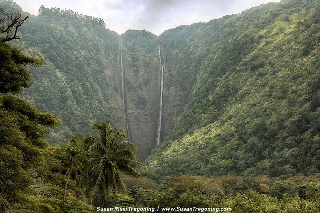 Twin waterfalls from Lalakea Stream cascade into the lush Waipio Valley, Hawaii's Big Island's hidden gem. Discover nature's breathtaking spectacle.