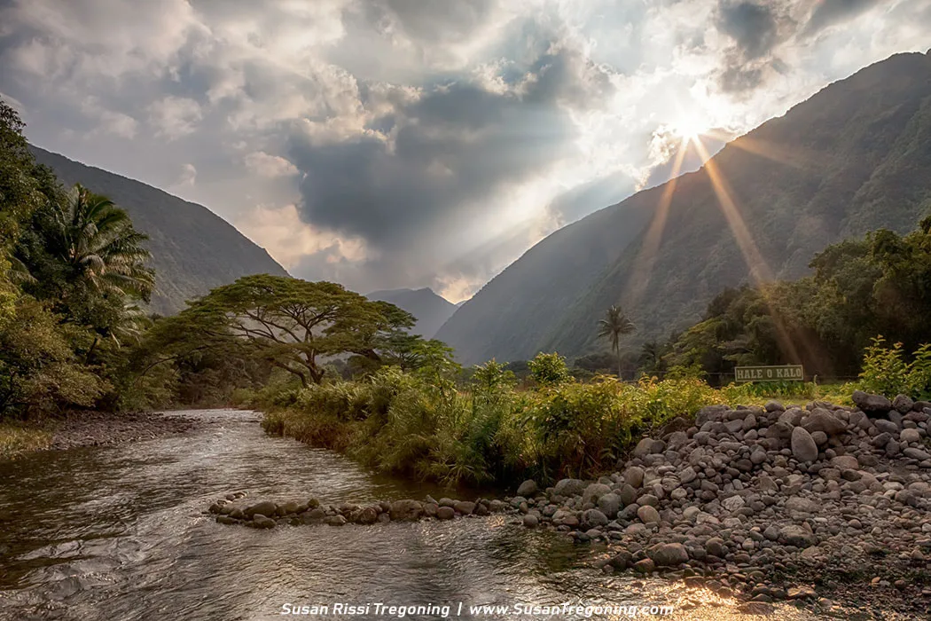 Drive down Waipio Valley Road: Experience the thrill of crossing Hiilawe Stream en route to the serene Hale O Kalo Taro Farm.