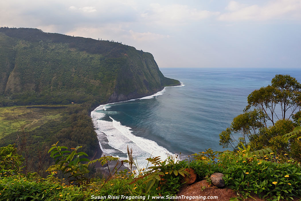 A high lookout view over Waipiʻo Valley on the Big Island of Hawaiʻi, with a lush green cliff dropping steeply toward the Pacific Ocean. Waves break along the rugged shoreline below, while tropical plants and flowers frame the foreground. The deep blue water stretches toward the horizon.