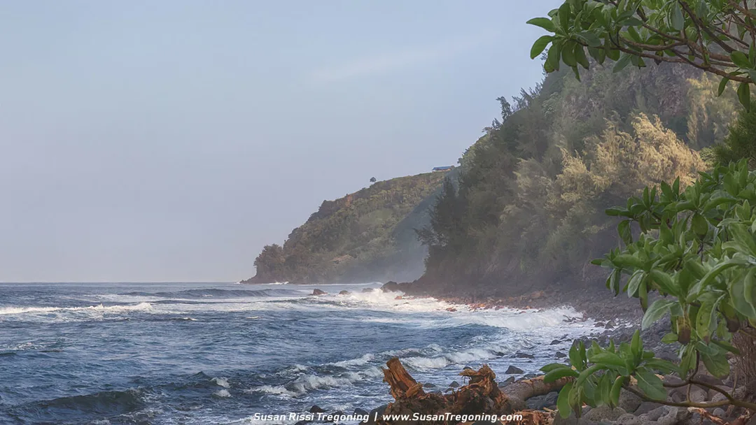 Waves crash against a rocky shoreline bordered by green coastal vegetation and driftwood. A steep, forested cliff rises along the left side, fading slightly in coastal haze, while white‑capped surf rolls in under a bright sky.