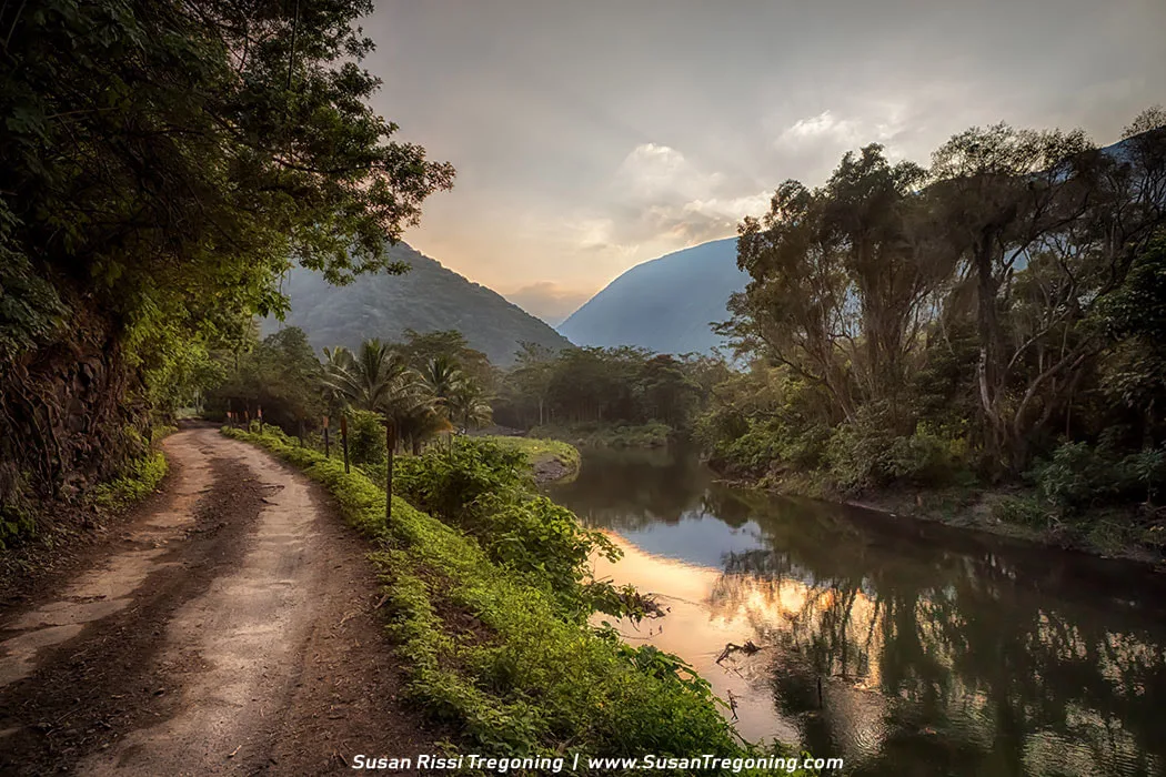 A dirt road runs beside a calm river bordered by dense green trees. Misty mountains rise in the distance beneath a softly colored sky, and the water reflects the trees and sky, creating a peaceful, scenic landscape.