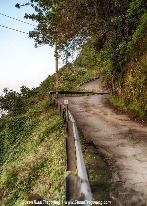 A narrow paved mountain road curves sharply along a steep cliff, bordered by a metal guardrail. Dense green vegetation surrounds the road, and a utility pole stands near the bend, emphasizing the remote, rugged setting.