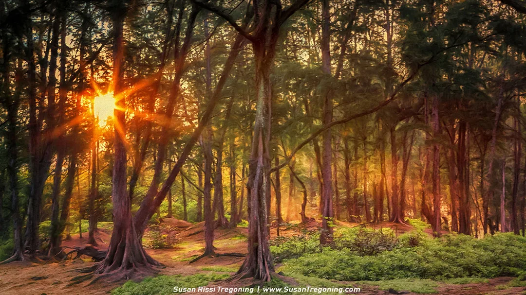 Golden sunbeams filter through tall, slender forest trees at sunrise or sunset, casting warm light across the ground. The scene shows patches of green vegetation, exposed roots, and a softly glowing sky behind the trees, creating a peaceful, atmospheric woodland view.