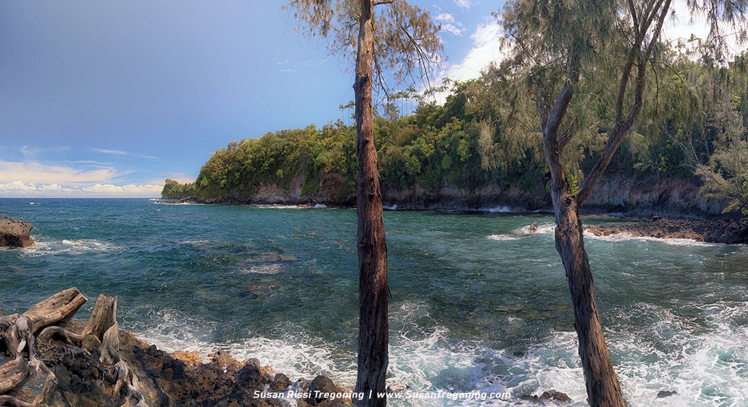 Two tall trees frame a rugged stretch of Turtle Point, where waves crash against dark volcanic rock below steep, green cliffs and a bright blue sky with scattered clouds.