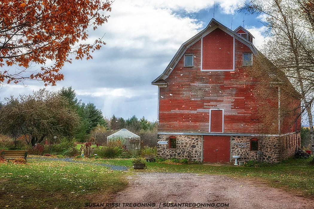 A large red barn with a stone foundation and a gambrel roof stands in a rural setting surrounded by autumn trees. The barn’s red paint is weathered, revealing patches of bare wood, and a small sign near a lower door reads “ENTRANCE.” A tree with bright orange leaves is in the foreground, and a small white structure sits behind the barn. Grass, fallen leaves, and a dirt path fill the foreground under a partly cloudy sky.