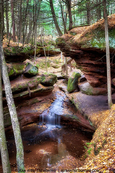 A small waterfall flows through a narrow sandstone gorge surrounded by tall forest trees. Layered rock walls, patches of green moss, and fallen autumn leaves cover the ground and ledges. The water cascades gently into a shallow pool at the base of the gorge.