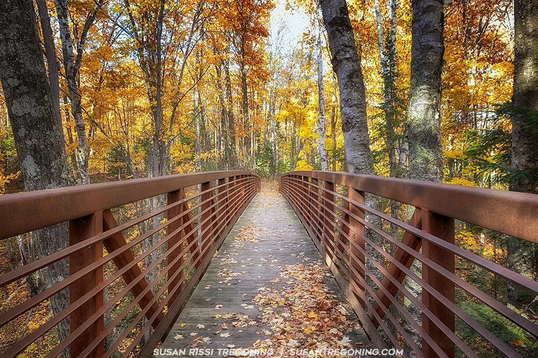 A wooden pedestrian bridge with rust‑colored metal railings stretches through a forest filled with bright autumn foliage. Fallen yellow, orange, and brown leaves cover the bridge’s walkway. Tall trees with colorful leaves surround the scene under soft, natural light.