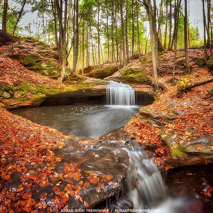 A small waterfall flows over layered sandstone into a round pool inside a forested gorge. Fallen autumn leaves cover the rocks and ground, and tall trees with green and orange foliage surround the scene. The water appears smooth from a long‑exposure effect.