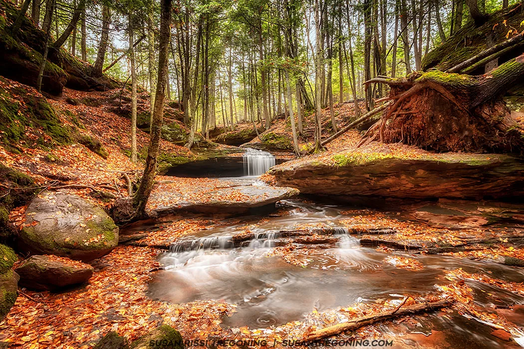 A small waterfall flows over flat, layered sandstone into a shallow stream surrounded by fallen orange and brown leaves. Moss-covered rocks and tall trees frame the scene, and the water appears silky from a long exposure. Soft light filters through the forest canopy, creating a peaceful autumn atmosphere.