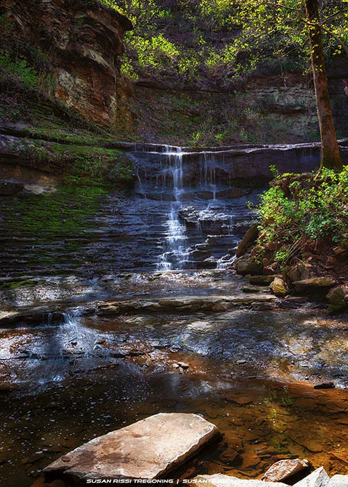   
Jackson Falls cascading over layered rock ledges into a shallow pool, surrounded by moss‑covered stones and dense green foliage with sunlight filtering through the trees