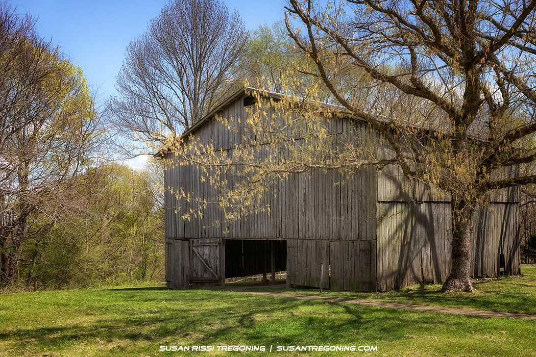 A weathered wooden barn with vertical planks and a pitched roof standing in a grassy clearing, surrounded by trees with early spring foliage under a clear blue sky.