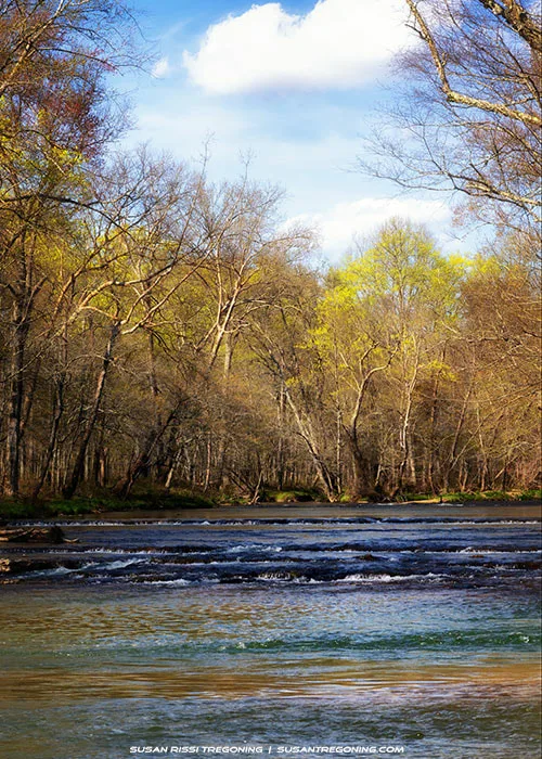 A shallow river flowing over small ripples and cascades, bordered by tall trees with early spring foliage under a partly cloudy blue sky.