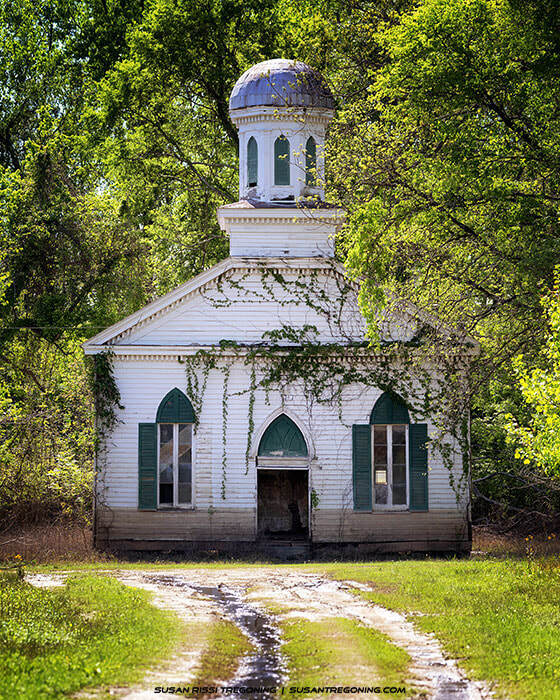 A small white wooden church with a pointed arched doorway, tall arched windows with green shutters, and a domed cupola stands surrounded by dense green trees. Ivy climbs the front façade, and a narrow dirt path with puddles leads to the entrance, giving the scene an aged, overgrown appearance.