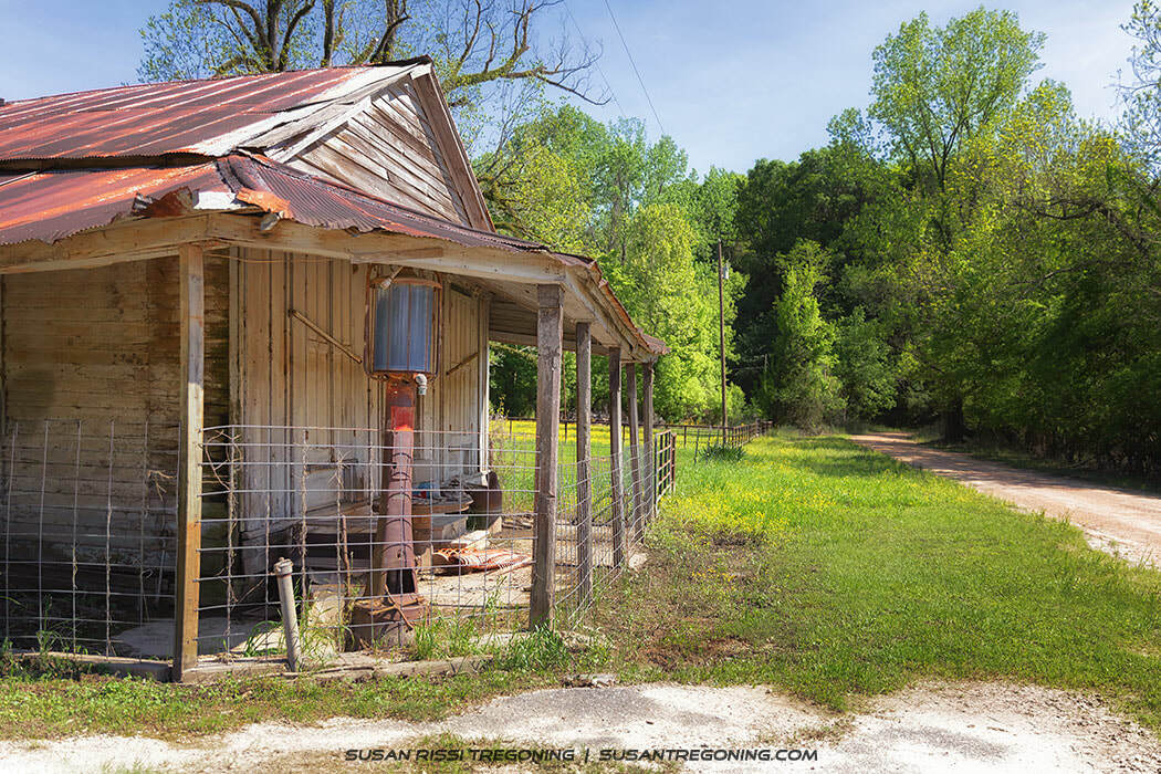 A weathered wooden building with a rusted metal roof stands beside a dirt road, its fenced porch and peeling boards surrounded by grass, wildflowers, and dense green trees under bright daylight.