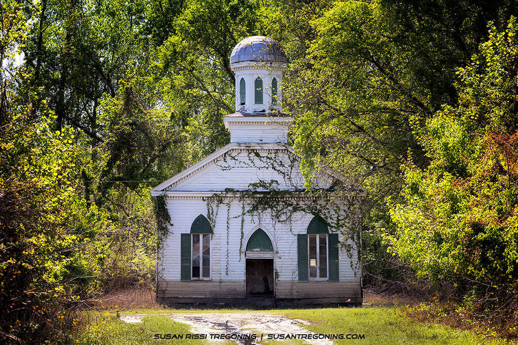 A small white wooden church stands surrounded by dense green trees, its arched windows and cupola partially covered by ivy as a dirt path leads to the entrance.