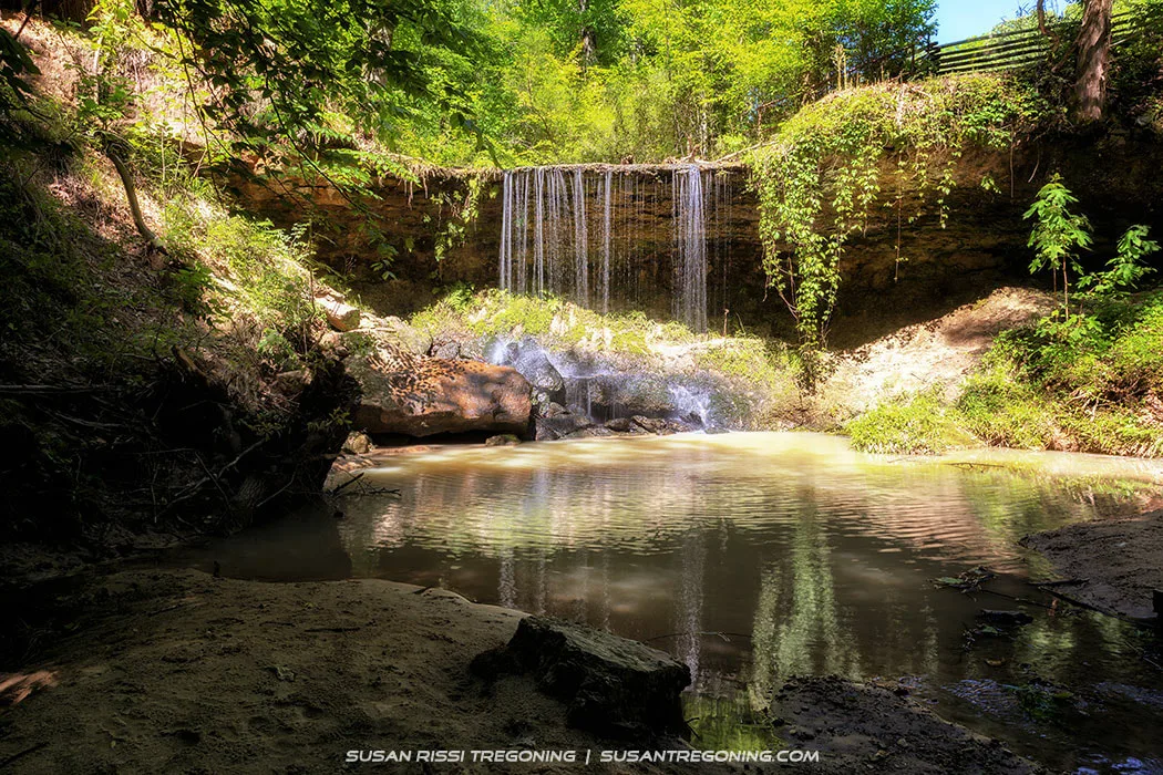 A small waterfall flows over a rocky ledge into a shallow pool surrounded by dense green vegetation. Sunlight filters through the trees, illuminating the water, rocks, and plants in this quiet forest scene.