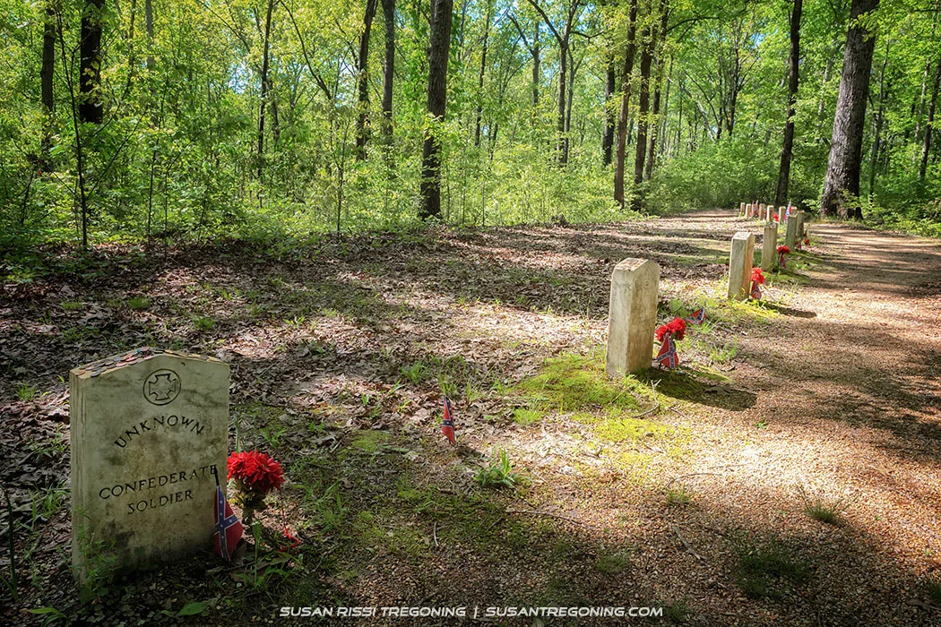 A row of small stone grave markers stands beside a dirt path in a wooded cemetery. Each marker has a small Confederate flag and red flowers placed at its base. Sunlight filters through tall green trees, casting dappled light across the graves and forest floor.