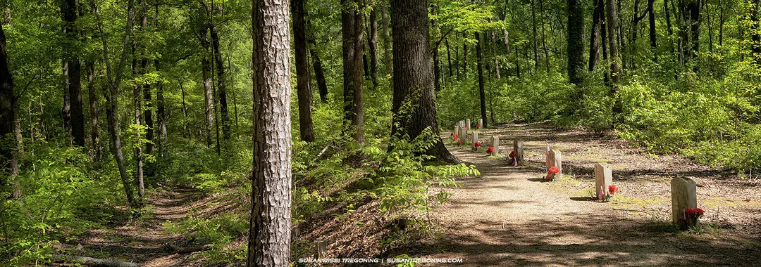 A quiet forest path along the Natchez Trace is lined with small rectangular stone grave markers, each with a red flower placed at its base. Tall trees and dense green foliage surround the site, with sunlight filtering through the canopy and casting dappled light across the ground.