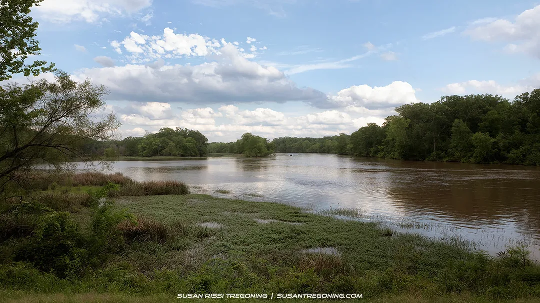 A wide view of the Pearl River bordered by dense green trees on both sides, with calm brownish water flowing through the scene. Grasses and wetland plants fill the foreground, and a partly cloudy sky with patches of blue stretches overhead.