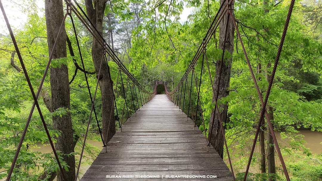 A narrow wooden suspension bridge stretches forward through dense green forest at Tishomingo State Park. Thick steel cables rise from the bridge railings and anchor into tall trees on both sides. Sunlight filters through the canopy, illuminating the planks and the river below.
