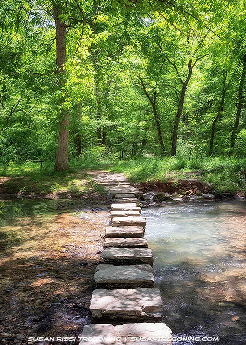 A shallow creek running through a green forest, crossed by a straight line of large, flat stepping stones leading to a dirt trail on the opposite bank. Sunlight filters through dense foliage, and the scene has a calm, woodland atmosphere.