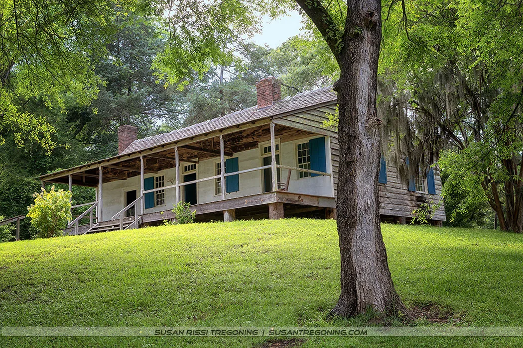 A rustic wooden house with a long front porch stands on a grassy slope surrounded by tall green trees. The structure has a slanted roof with two brick chimneys, blue shutters on the windows, and is raised slightly on wooden supports. Sunlight filters through the surrounding foliage.