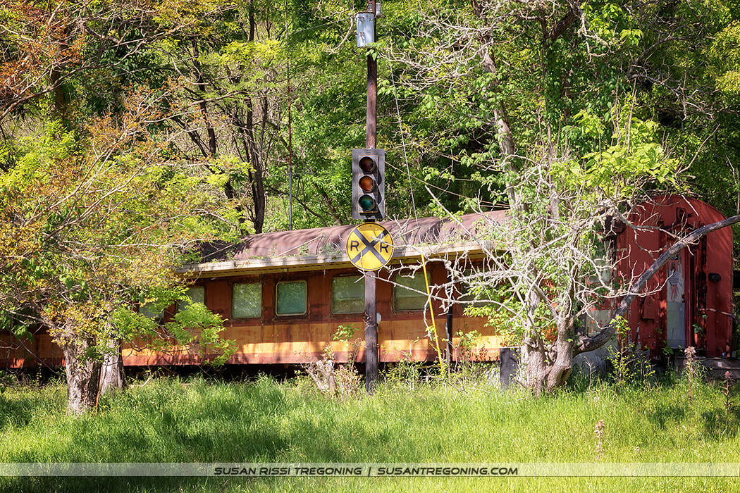 An old rusted train car sits in tall grass at the edge of a wooded area, with a railroad crossing sign and mounted signal light standing in front of it, surrounded by dense green foliage in bright daylight.