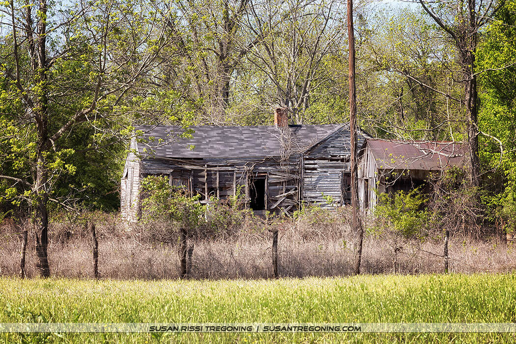 An abandoned wooden house with broken boards, missing siding, and a sagging roof stands behind a wire fence in a grassy field, surrounded by overgrown vegetation and dense spring trees.