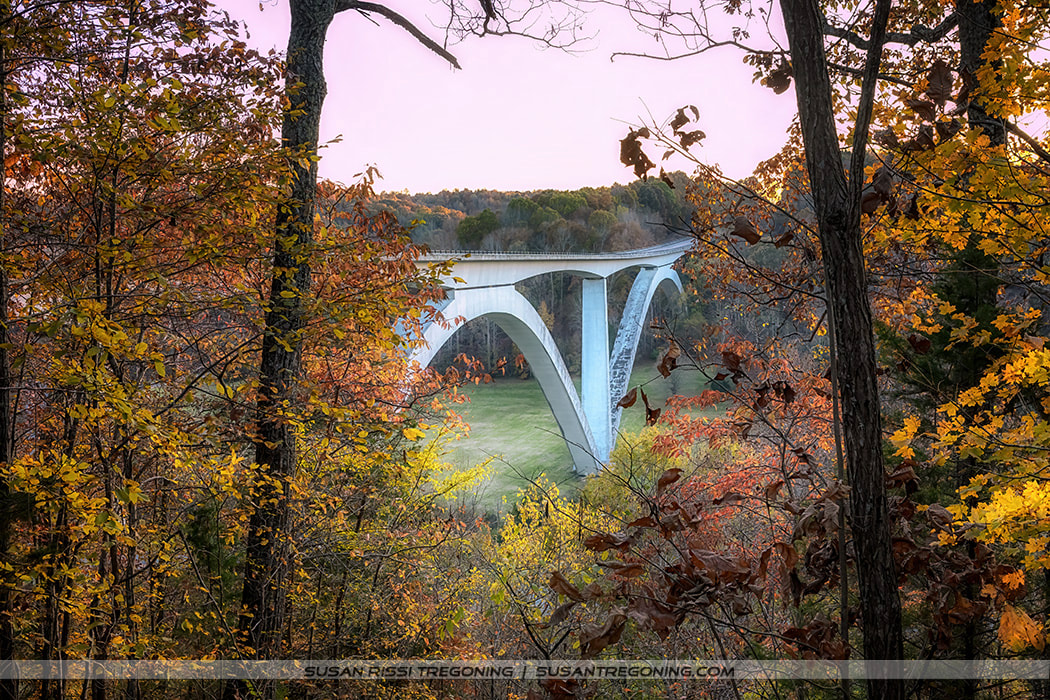 Top of the Trace: The Natchez Trace Parkway - Tennessee and Alabama