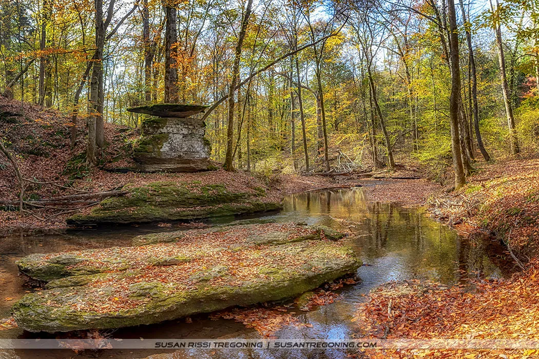 A small creek flowing through an autumn forest, with tall trees in yellow and orange foliage and a flat, disk‑shaped rock balanced on a larger stone beside the water. Fallen leaves cover the ground and rocks, and the creek reflects the surrounding trees.