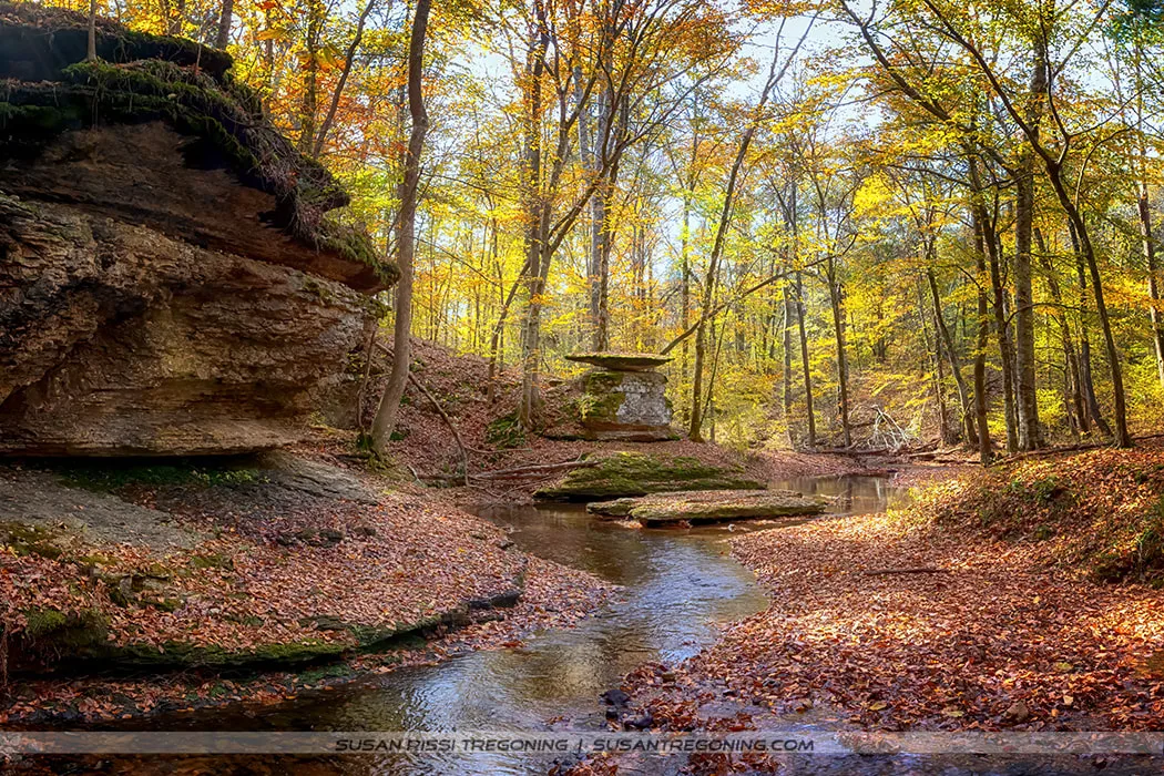 A small stream winding through an autumn forest, with tall trees in yellow and orange foliage and large layered rock formations rising beside the water. Fallen leaves cover the ground and parts of the stream, and sunlight filters through the trees.