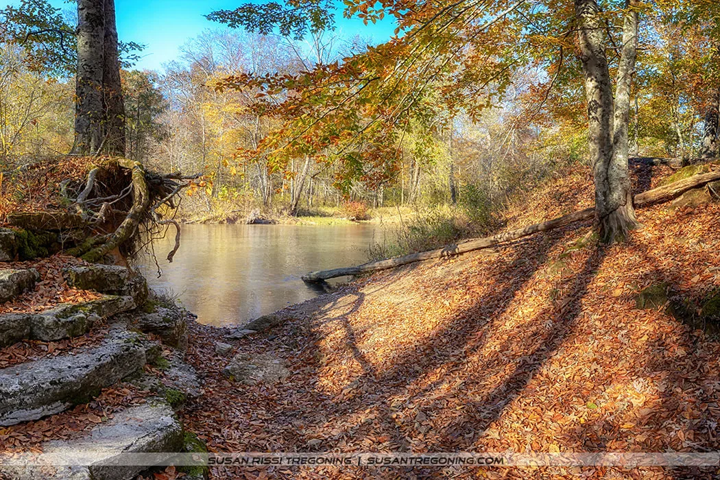 A calm river bordered by autumn trees with orange and yellow leaves, with stone steps and exposed tree roots leading down to the leaf‑covered riverbank.