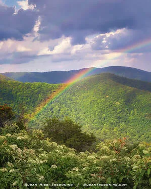 A bright rainbow arcs over the Blue Ridge Mountains at Bluff Mountain Overlook. The foreground is filled with green vegetation and flowering plants, while distant ridges fade into the horizon beneath a partly cloudy sky with soft sunlight breaking through.