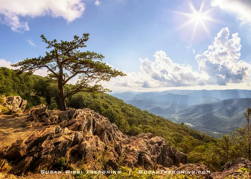 A lone pine tree stands on a rocky cliff at Ravens Roost Overlook, overlooking layers of forested mountains. Sun rays break through scattered clouds, casting light across the distant ridges and valleys.