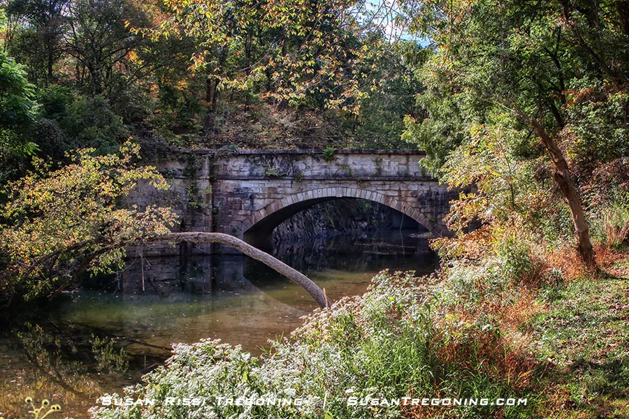 A historic stone arch aqueduct spans a calm, narrow stream, surrounded by dense early‑autumn foliage. Sunlight filters through the trees, and the aqueduct’s reflection appears in the still water below.