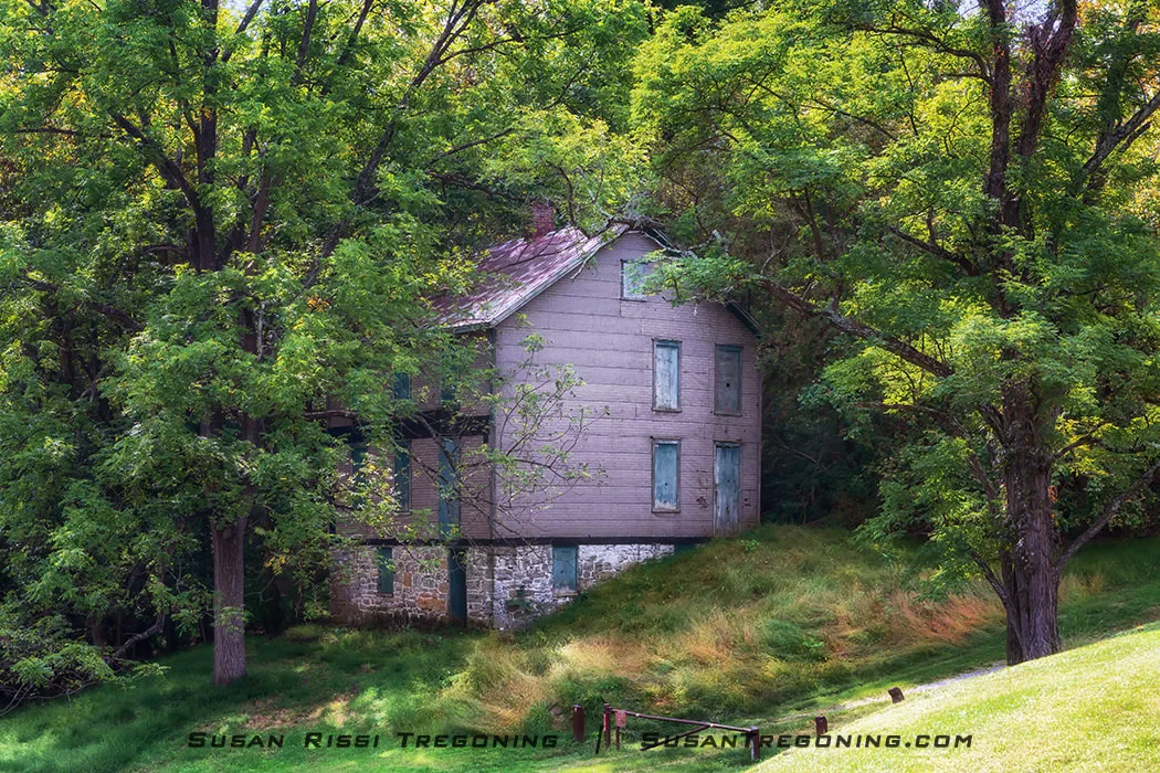 An abandoned two‑story house with weathered wooden siding, boarded blue‑green windows, and a rusted metal roof stands partly hidden among dense green trees, with tall grass surrounding its stone lower level.