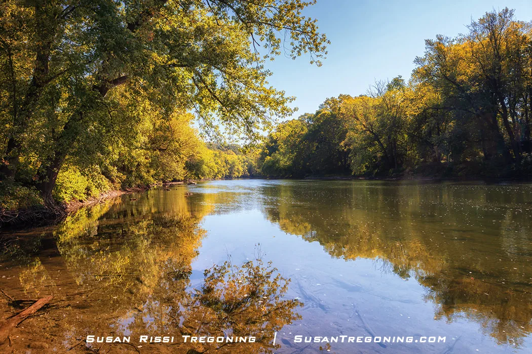 Calm river water reflects dense early‑autumn trees in shades of green and gold. Sunlight filters through the foliage, illuminating parts of the riverbank beneath a clear blue sky.