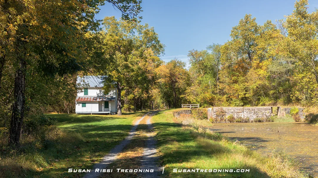 A small white lockhouse with green shutters and a rusted metal roof stands beside a stone canal lock and still water, surrounded by tall trees with early‑autumn foliage and a dirt path leading toward the house.
