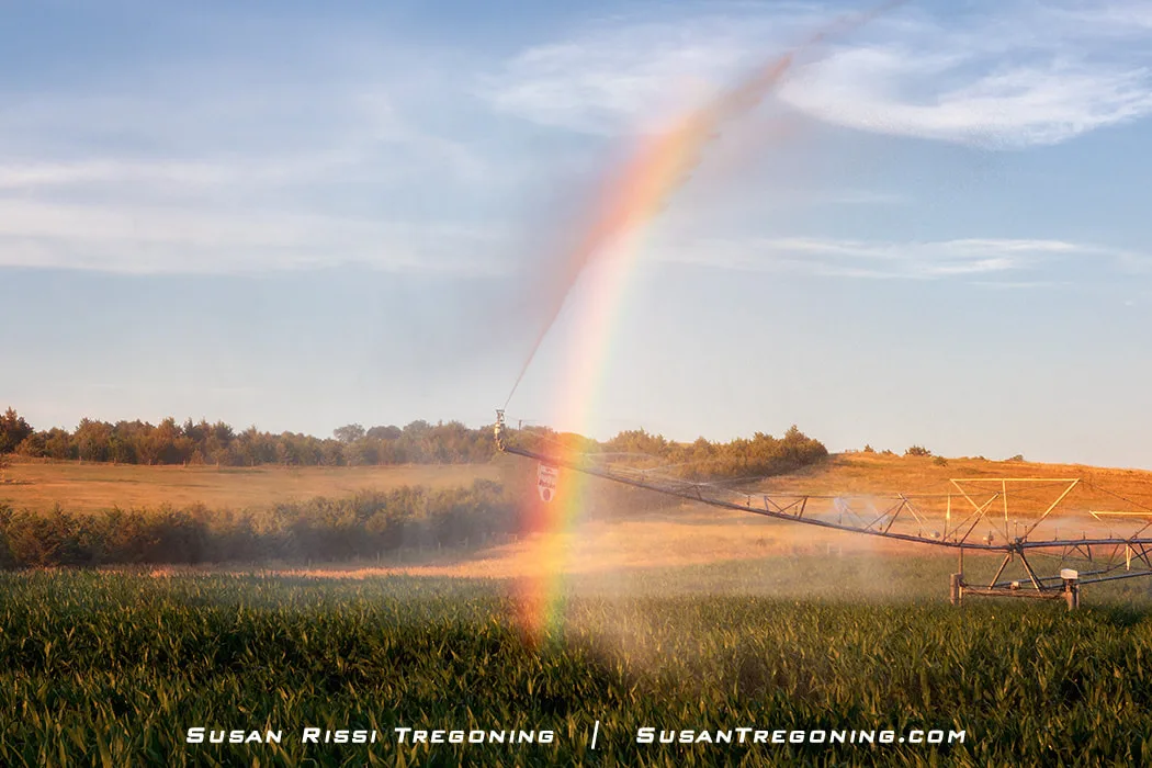 A center‑pivot irrigation system sprays water over a green field, and sunlight creates a rainbow in the mist. Rolling hills and scattered trees appear in the background beneath a partly cloudy sky.
