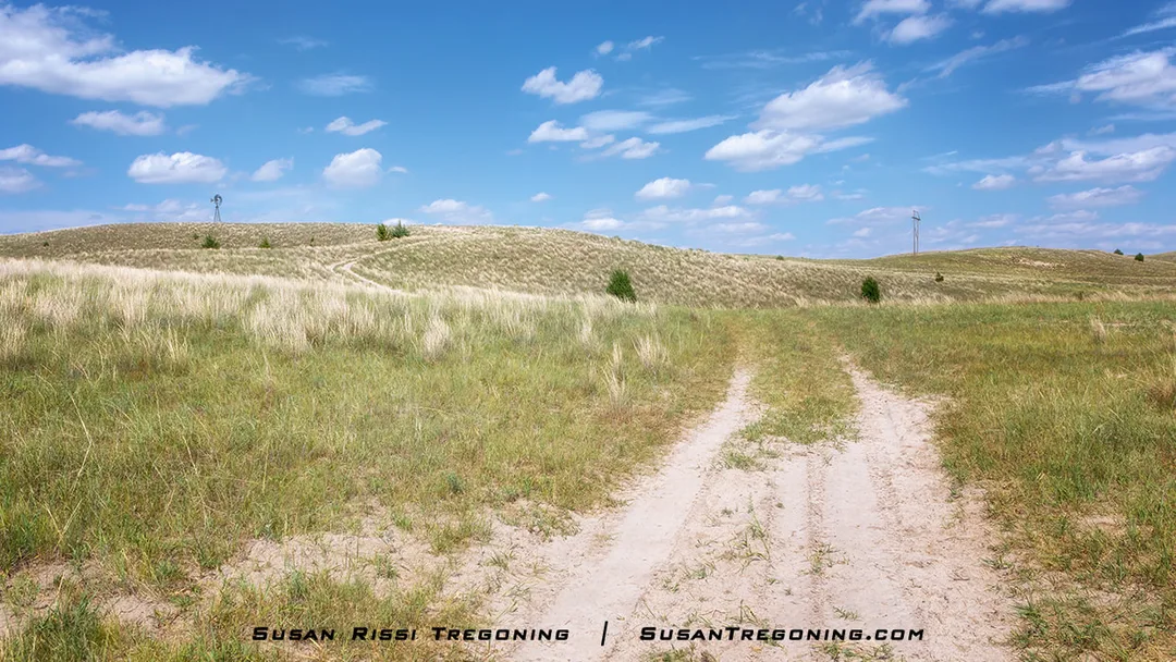 A sandy trail curves through grassy rolling hills toward a windmill on the horizon under a bright blue sky with scattered clouds.