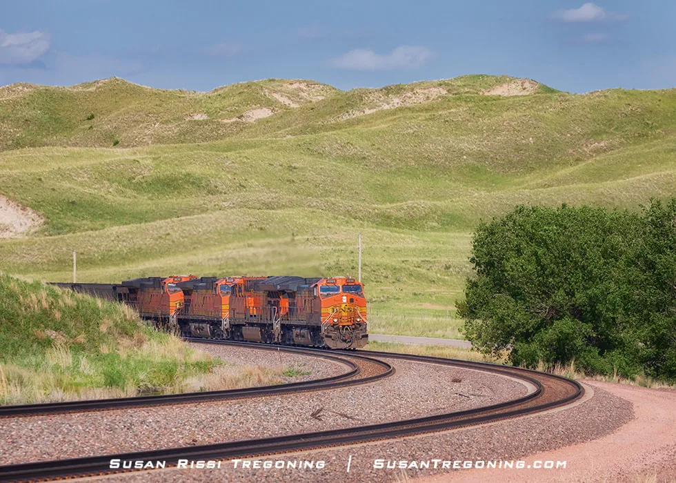 A freight train with orange and black locomotives rounds a curved section of railroad track through rolling green hills, with a large tree on the right and a clear blue sky overhead.