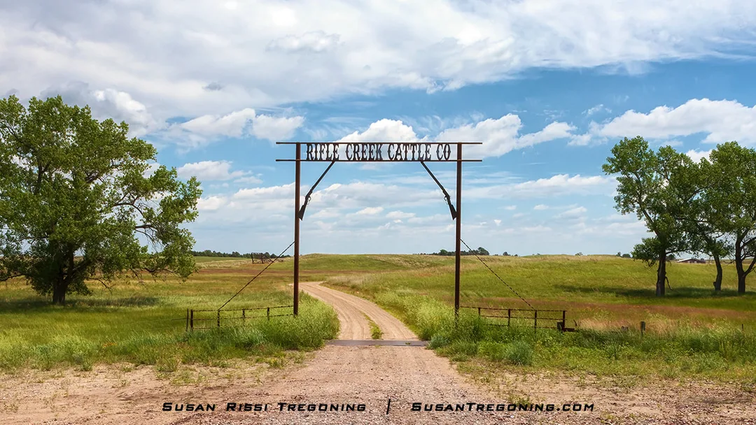 A metal ranch gate with the sign “Rifle Creek Cattle Co.” stands over a dirt road that curves through open grassland under a partly cloudy sky.