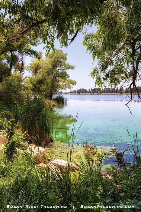 A calm lake bordered by grassy hills reflects the sky, with rolling Sandhills and scattered vegetation surrounding the spring‑fed water.