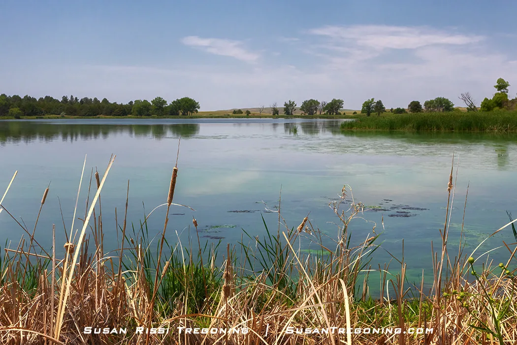 A calm lake bordered by grassy hills reflects the blue sky, with rolling Sandhills surrounding the spring‑fed water.